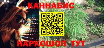 прущие грибы Ярославль
