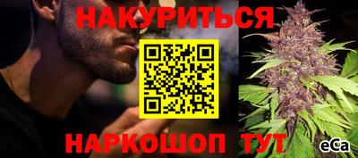 сатива Шахты