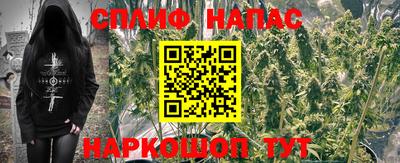 сатива Шахты