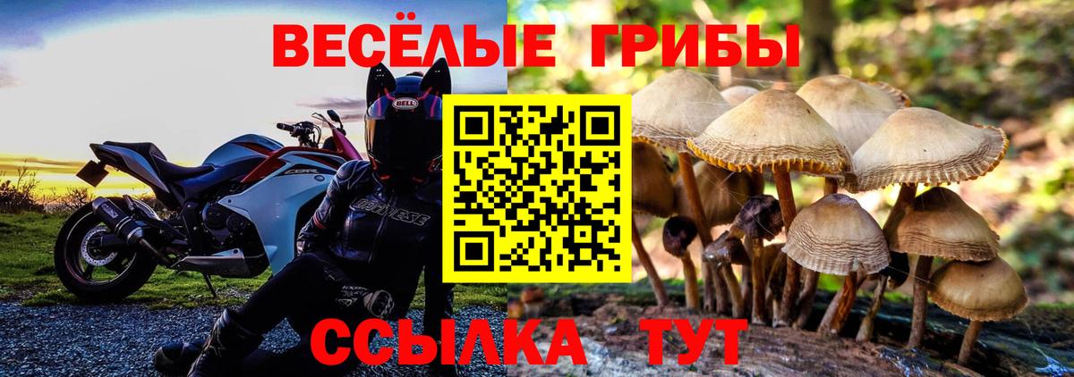 Барнаул  Галлюциногенные грибы ЛСД  закладки  Вход с VPN 