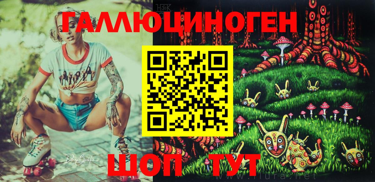Галлюциногенные грибы Psilocybine cubensis Барнаул